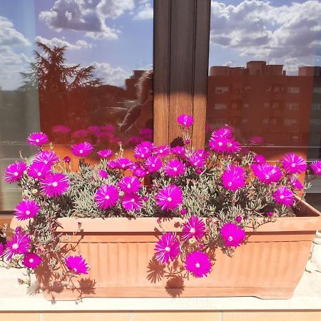 L'Orchidea Di Ale Bed & Breakfast Tivoli Terme Bagian luar foto