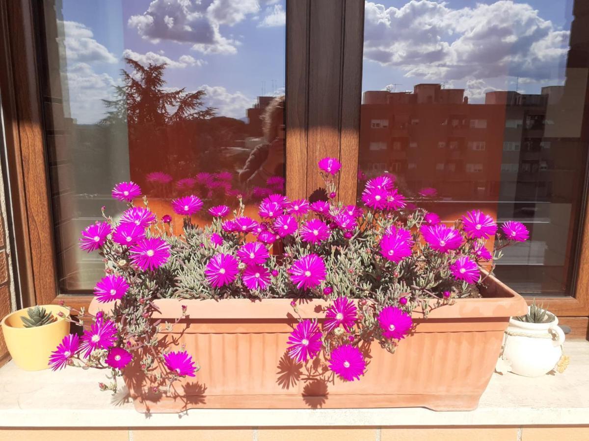 L'Orchidea Di Ale Bed & Breakfast Tivoli Terme Bagian luar foto