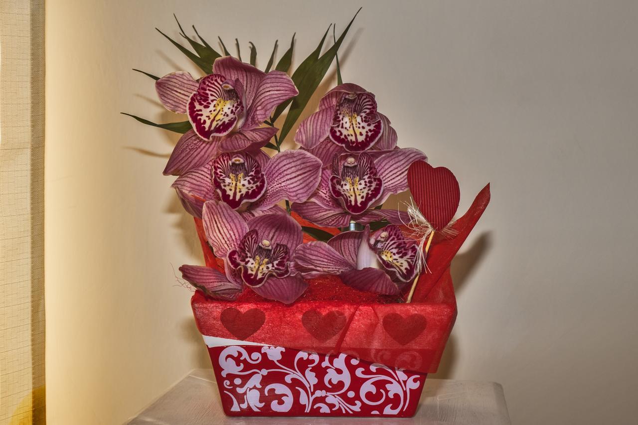 L'Orchidea Di Ale Bed & Breakfast Tivoli Terme Bagian luar foto